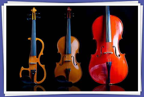 Violins